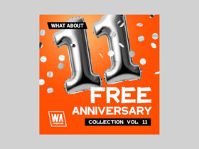 Free Anniversary Collection Vol. 11